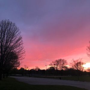 Meet your Posher, Lily